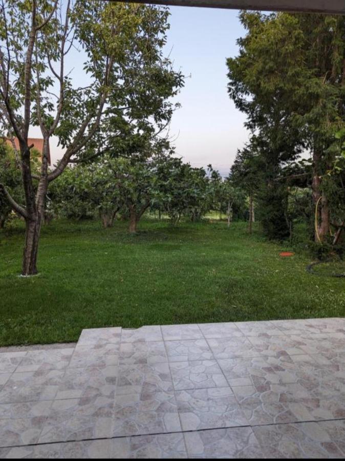 Apartment Filipovic Podgorica Extérieur photo