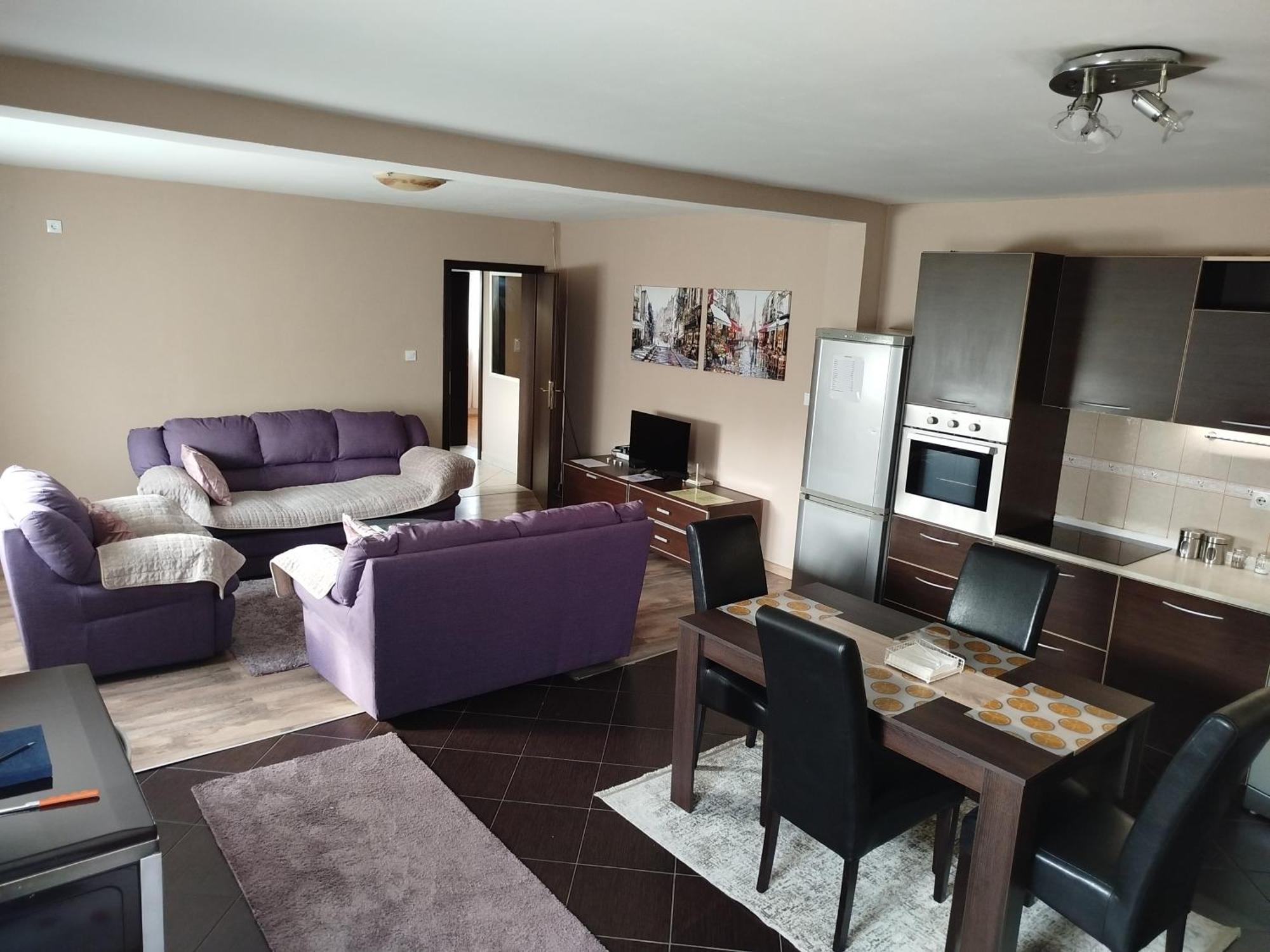 Apartment Filipovic Podgorica Extérieur photo